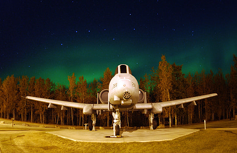 white commercial airplane near brown leafed trees during nighttime thumbnail
