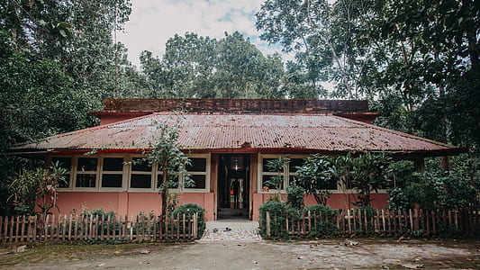 pink and brown painted house in middle of trees thumbnail