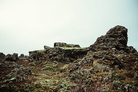 A walking path in rocky formations and plants thumbnail