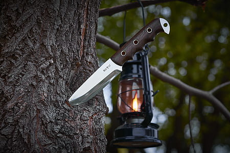 knife stuck on tree thumbnail