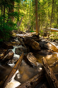 time-lapse photography of river with rocks surrounded with tall trees at daytime thumbnail