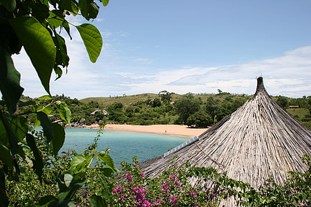 gray wooden house near trees and body of water thumbnail