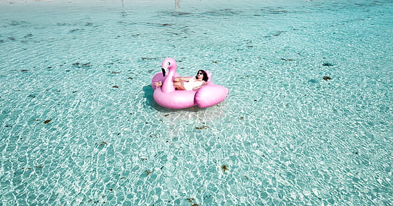 Woman Lying on Pink Flamingo Bouy on Body of Water thumbnail