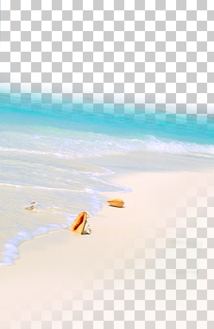 Sea Beach Shore, Summer beach, white sand seashore PNG clipart