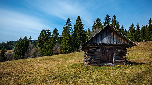brown wooden house on green grass lawn thumbnail