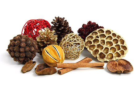 assorted nuts and pine cones thumbnail