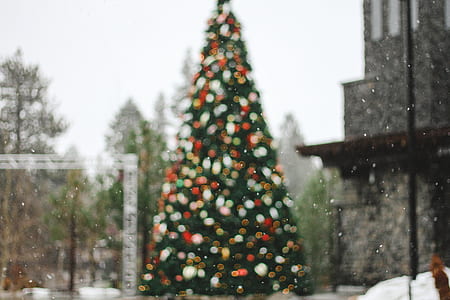 blurry photo of decorated Christmas tree with lights turned on thumbnail