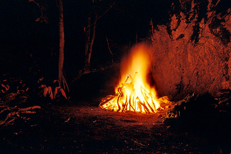 camp fire near people thumbnail