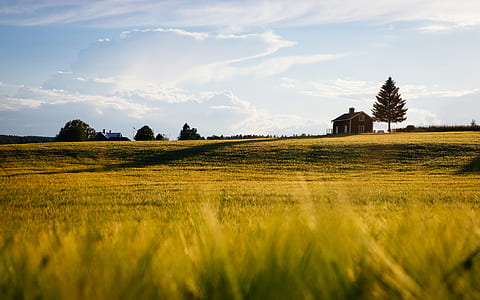 green grass field near barn house at daytime thumbnail
