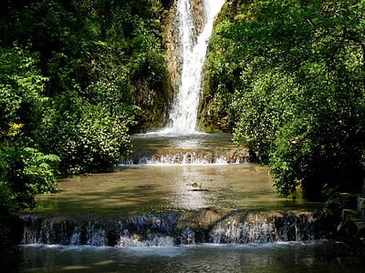 waterfalls surrounded by tall tree at daytime thumbnail