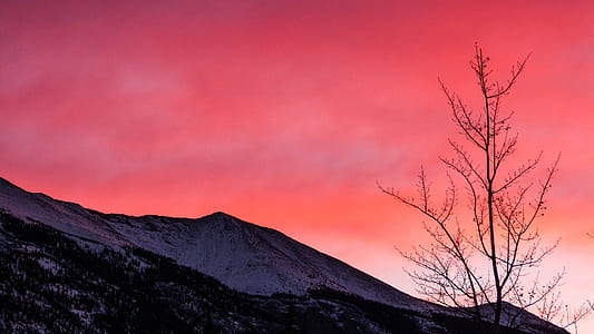 mountain during sunset thumbnail
