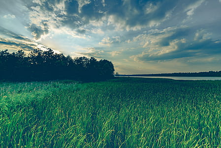 landscape, nature, sky, sunset thumbnail