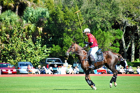 people watching polo sport thumbnail