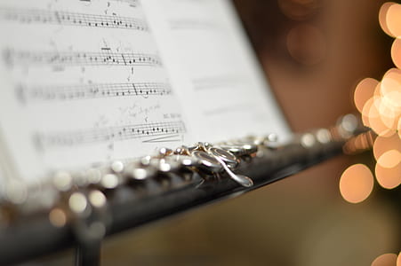 focused photo of a silver book holder thumbnail