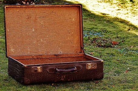 brown suitcase on green grass thumbnail