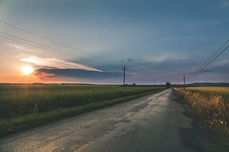 Grey Empty Road Between fields thumbnail