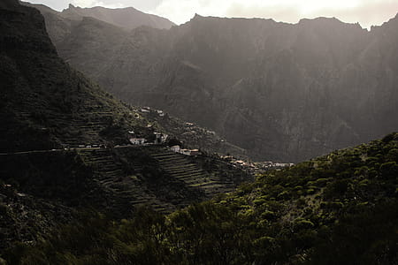 Green Trees Near Mountain at Daytime thumbnail