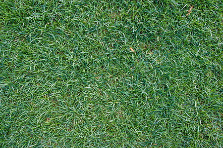 green grass thumbnail