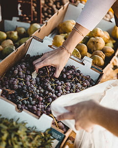 grapes thumbnail