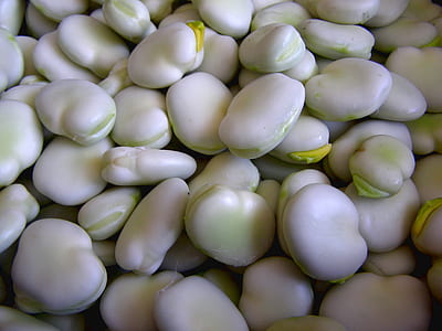 white beans thumbnail