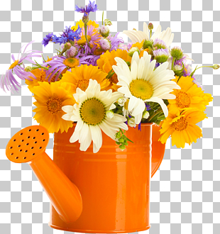 Flower, Filled with flowers shower, daisy flowers in watering can PNG clipart