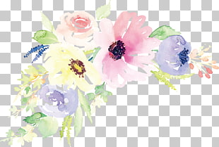 Floral design Watercolor painting Flower Illustration, Watercolor flower , pink and white flower illustration PNG clipart