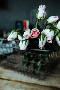 Pink flowers in a metal basket thumbnail