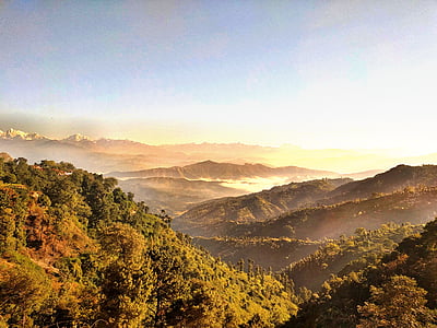 aerial view photography of forest at daytime thumbnail