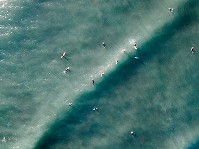 people surfing in beach thumbnail