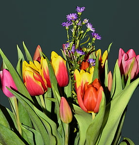 red and yellow tulip bouquet thumbnail
