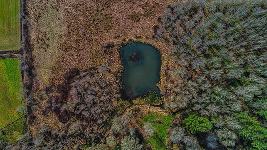 aerial photography of lake surrounded by forest thumbnail