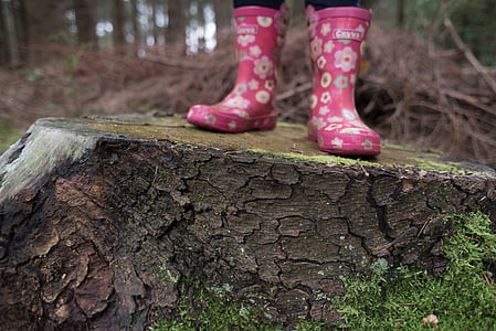 person wearing pink floral rain boots standing on tree during daytime thumbnail