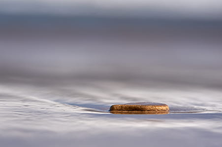 selective focus photography of brown stone on sand thumbnail