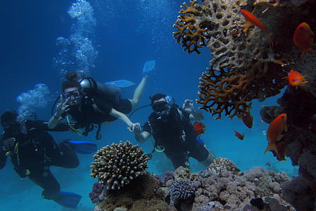 Three People Diving On Body Of Water thumbnail