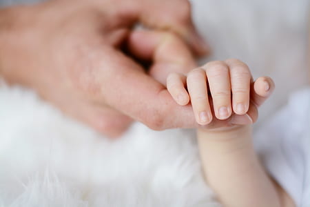 Baby Holding It's Parent Finger thumbnail