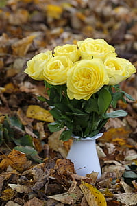 depth of field photography of yellow rose arrangement thumbnail