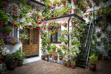 photography of house with flowers thumbnail