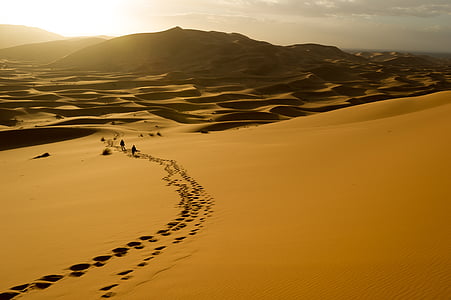 footsteps on sand during daytime thumbnail
