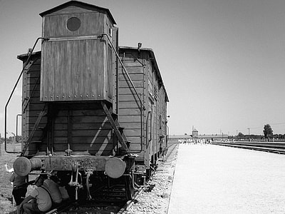 Auschvitz - Birkenau, Train thumbnail