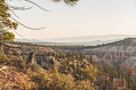 landscape photography of mountains and trees thumbnail