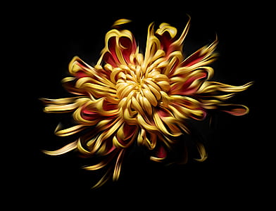 shallow focus photograpy of flower thumbnail