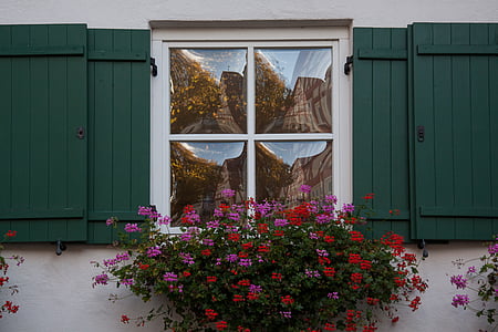 closed window near flowers thumbnail