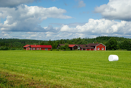 red barn surrounded green grass field under white cloudy sky thumbnail