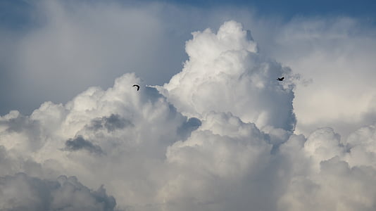 photo of two flying birds over clouds thumbnail