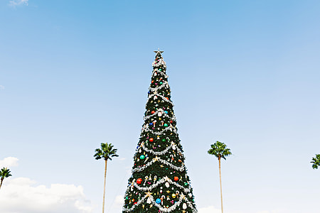 Tall Christmas Tree with lights thumbnail
