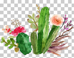 Wedding invitation Paper Flower Textile Succulent plant, Cactus flowers watercolor, green cactus painting PNG clipart
