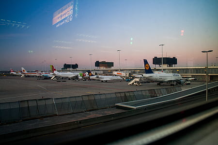 Airplanes on Hangar Under Blue Sky thumbnail