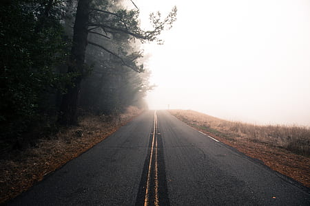 grey concrete straight road near trees thumbnail