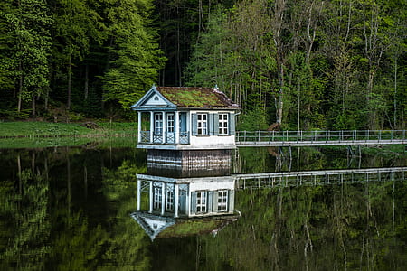 white and gray shed with bridge near green trees thumbnail