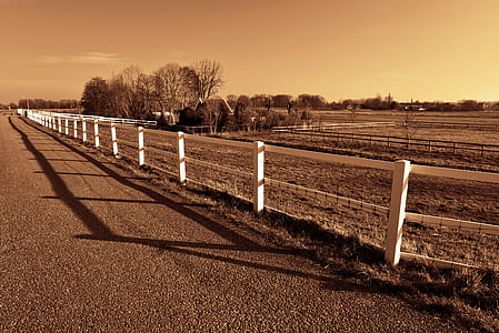 asphalt road beside white wooden fence and open field with trees at sunset thumbnail
